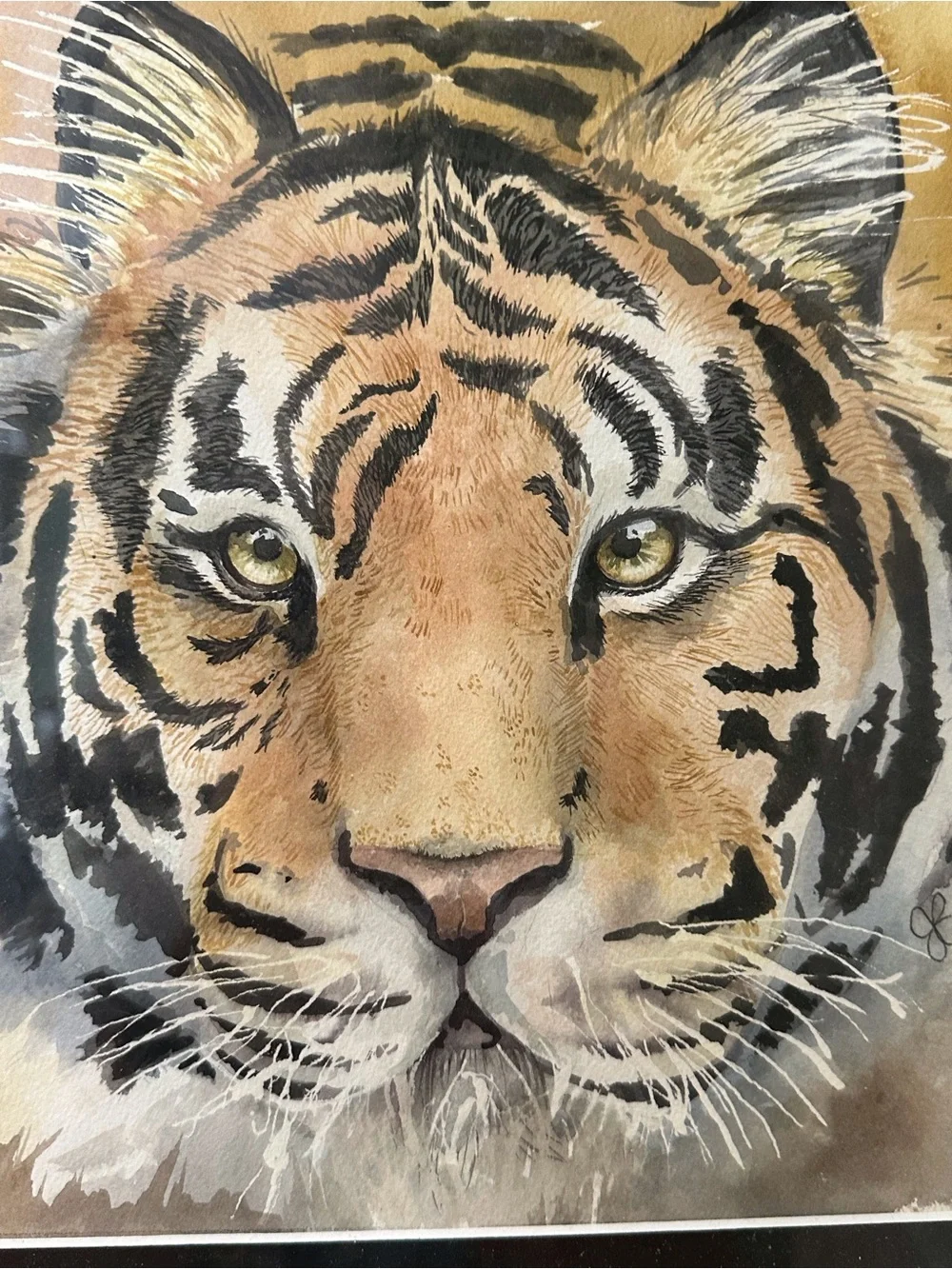 Framed Tiger Wildlife Art Print Black & Gold Frame 13” x 13” Wall Decor